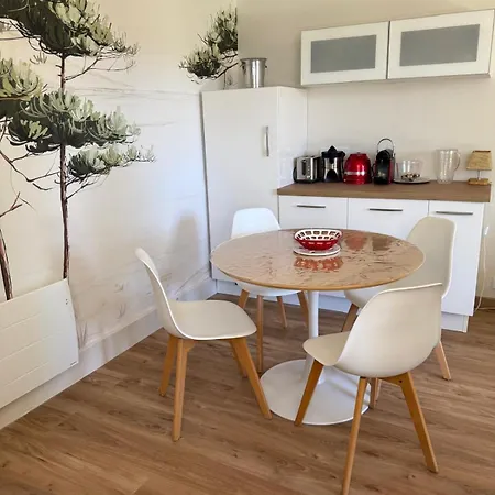 Апартаменты Nouveau - Splendide T2 Neuf Au Calme En D'hiver - 3 Etoiles Аркашон
